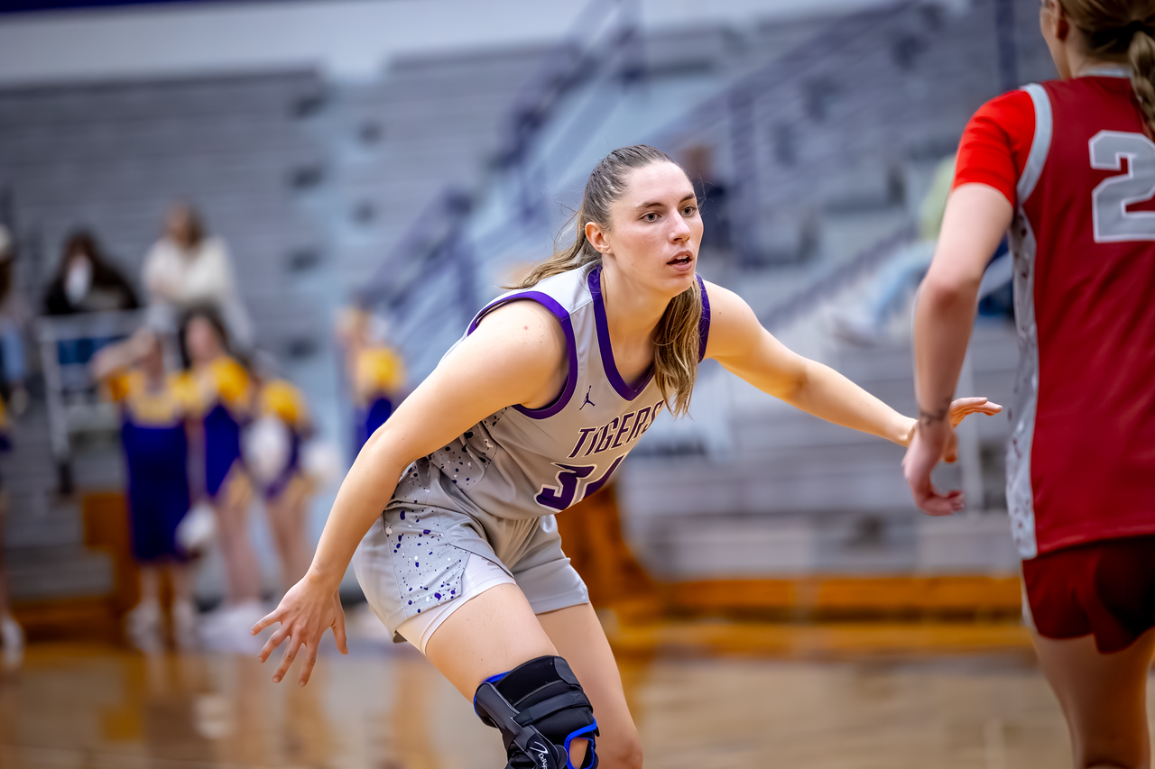 TIGERS FORCE 18 STEALS IN 88-69 WIN OVER HOLY CROSS