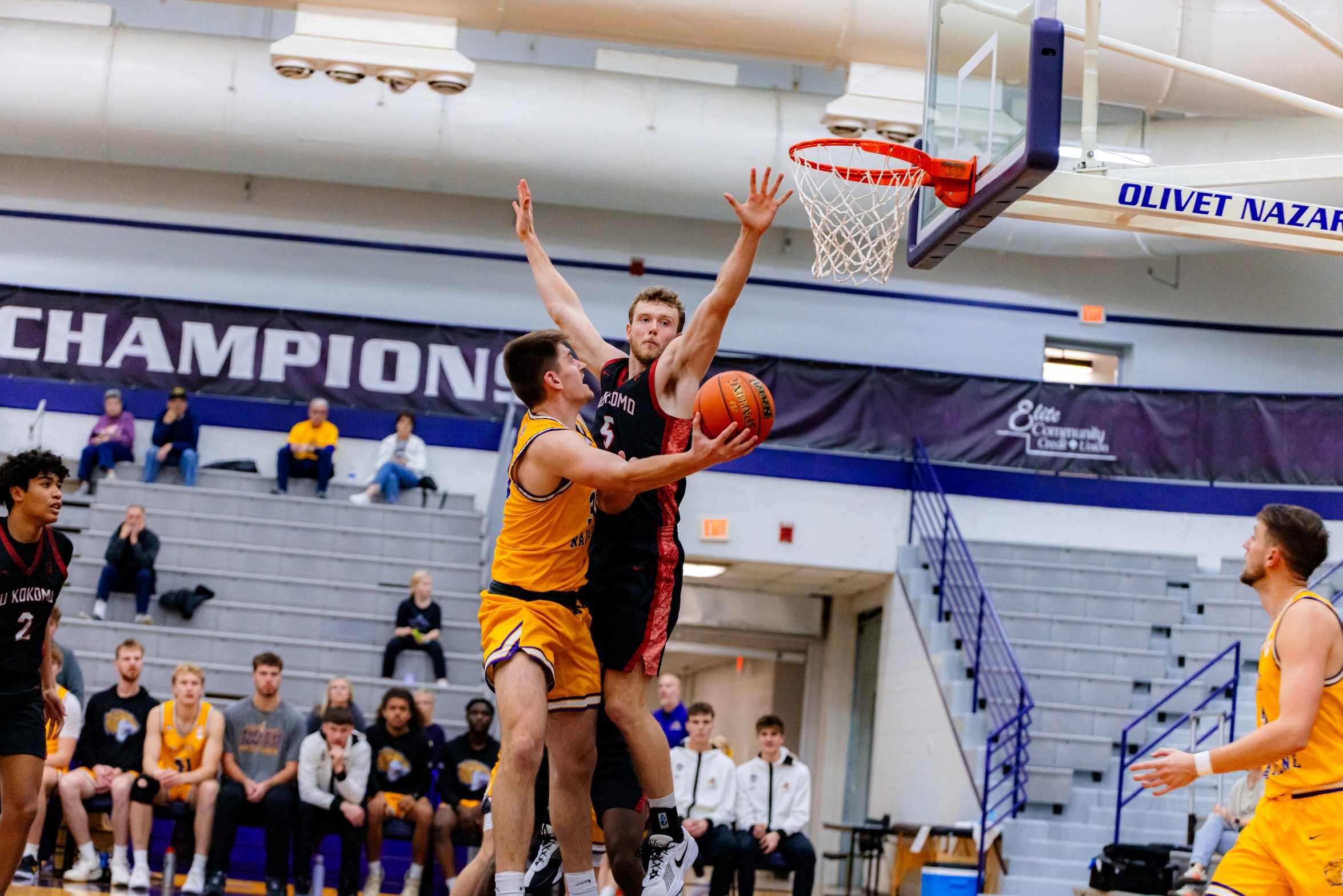 TIGERS STAY UNDEFEATED IN CONFERENCE WITH WIN OVER ST. FRANCIS