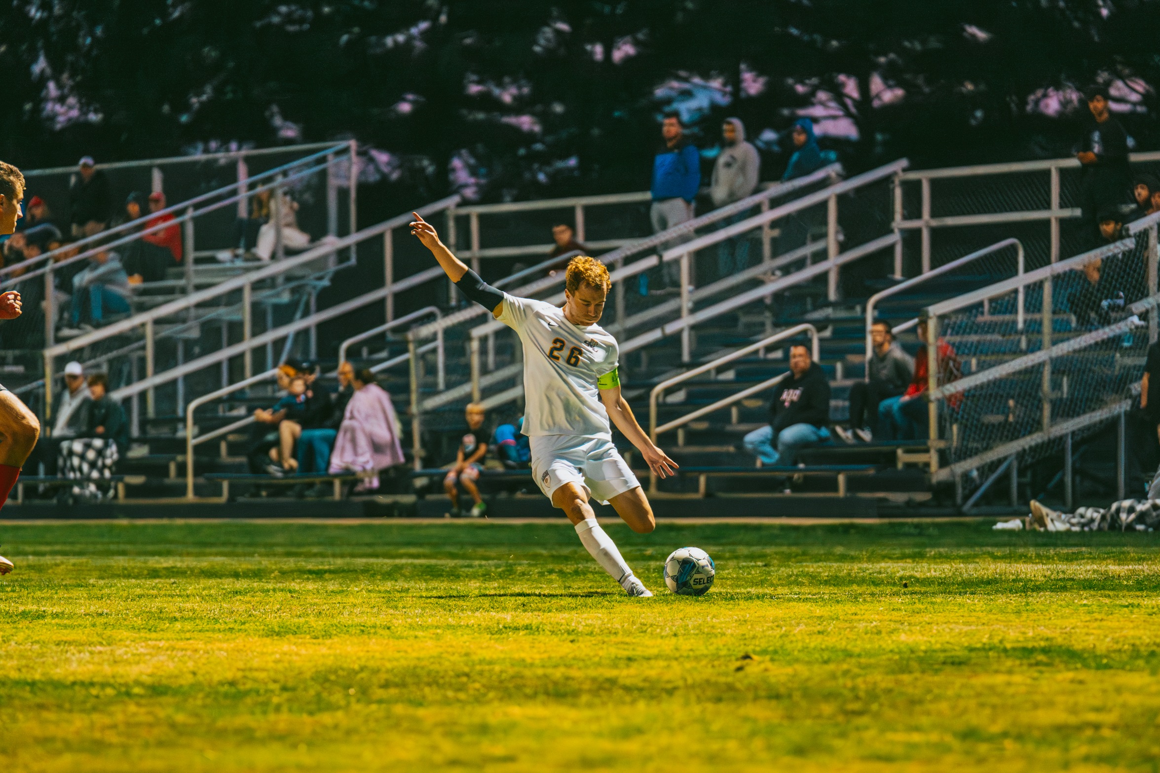 Picture Credit: Jackson Harvey