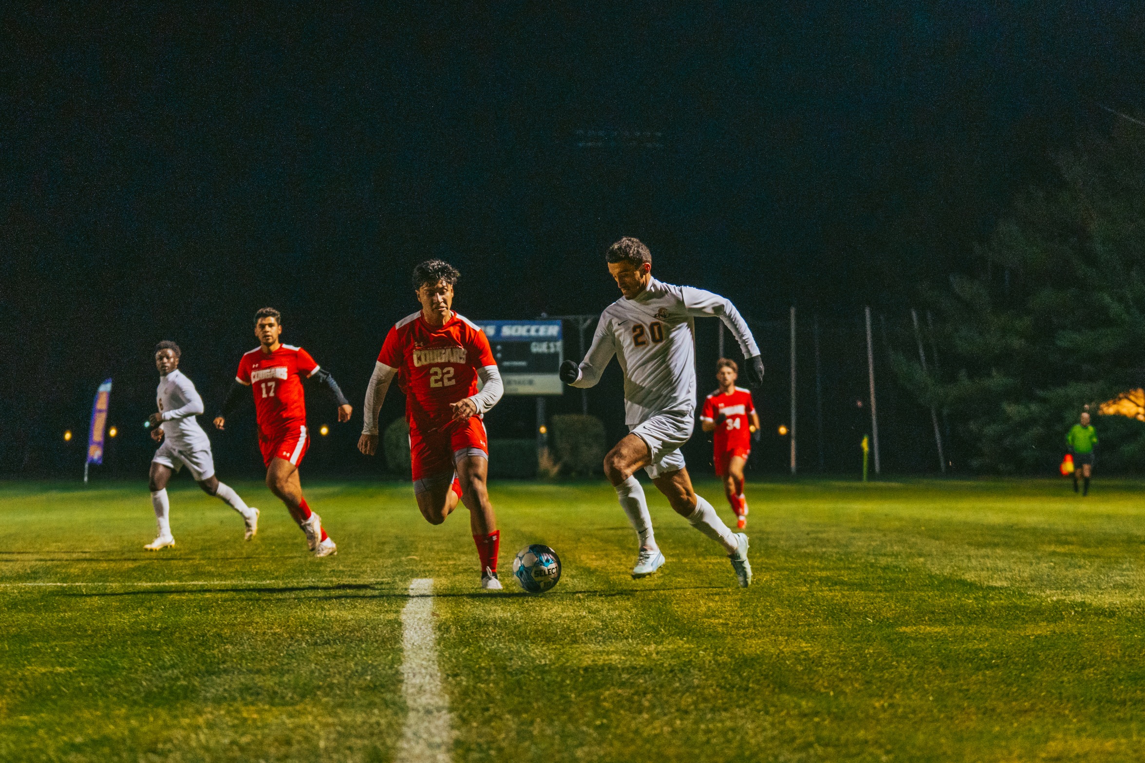 Picture Credit: Jackson Harvey