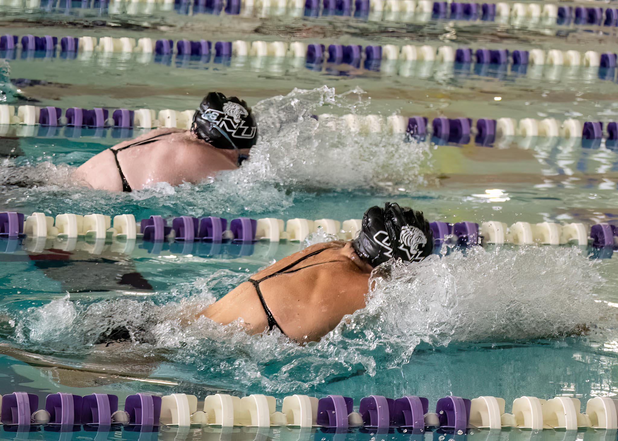 TIGERS FALL IN DUAL COMPETITION AGAINST NCAA DII DAVENPORT