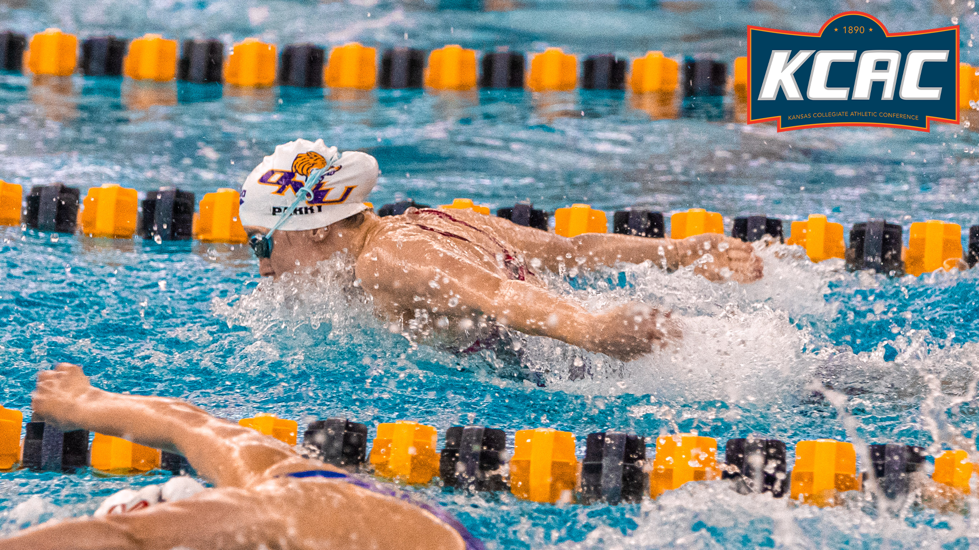 EIGHT TIGERS NAMED ALL-KCAC HONOREES FOR WOMEN&rsquo;S SWIM & DIVE