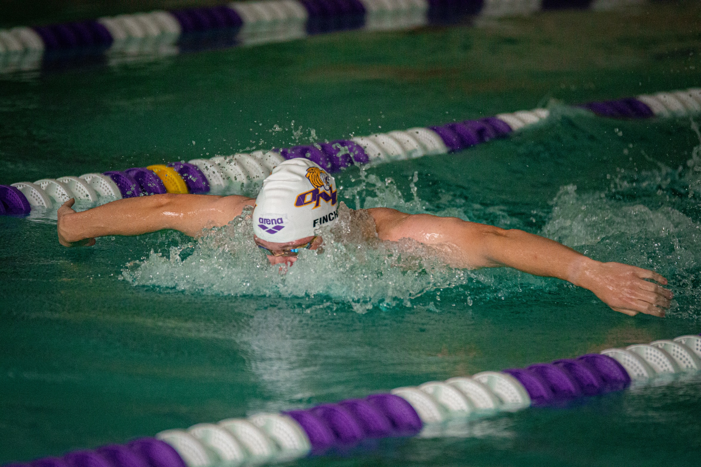 TIGERS SWIMMING & DIVING TEAM COMPETE STRONGLY AT WHEATON INVITE