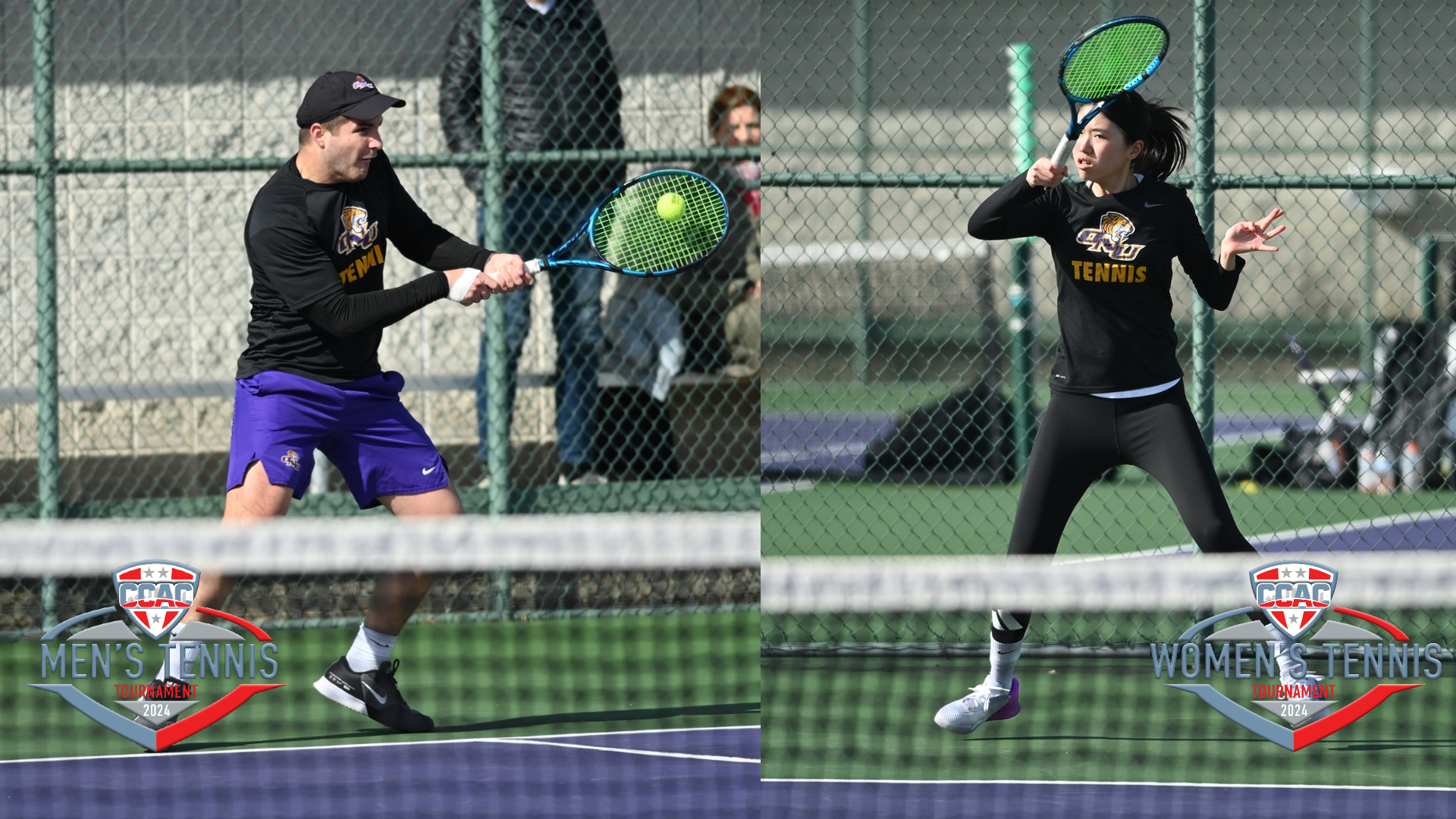 TIGERS TOPPLE ST. AMBROSE IN CCAC TOURNAMENT FIRST ROUND