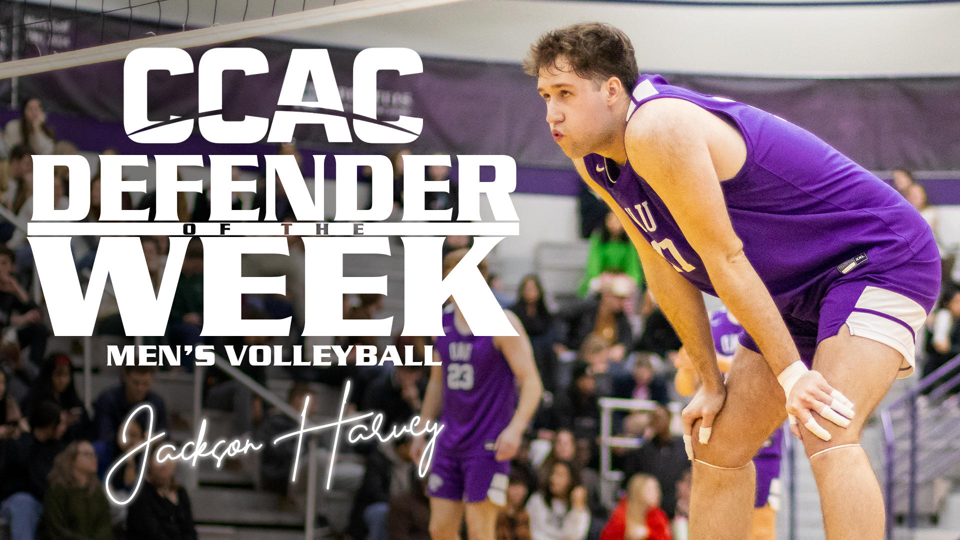 HARVEY CLAIMS FINAL CCAC DEFENDER OF THE WEEK AWARD