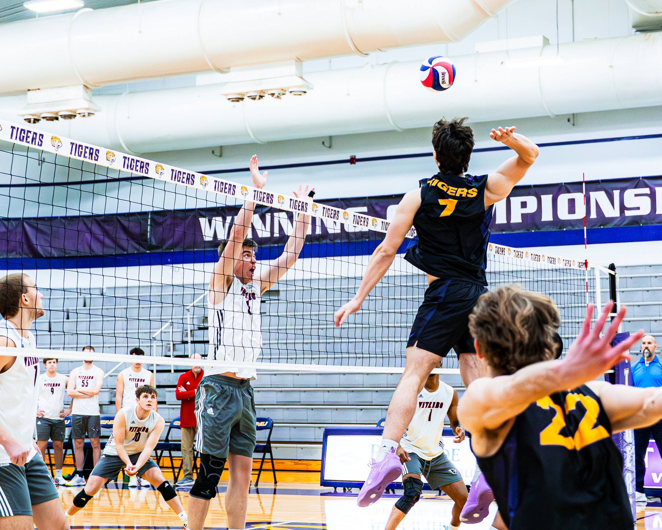 TIGERS WRAP UP SEASON IN CONFERENCE SEMIFINAL
