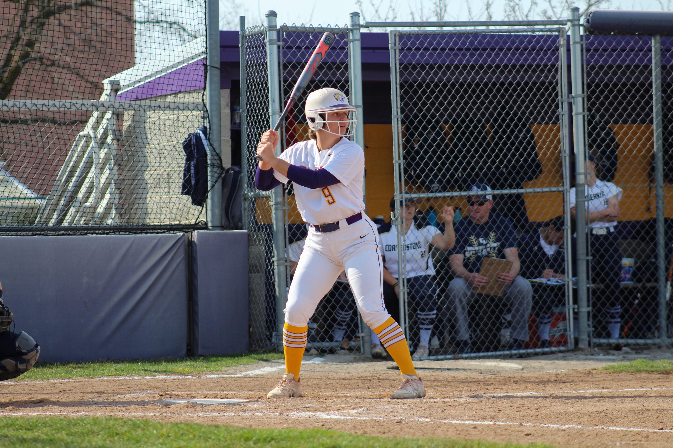 TIGERS WRAP UP BUSY WEEK IN ARIZONA WITH TWO LOSSES