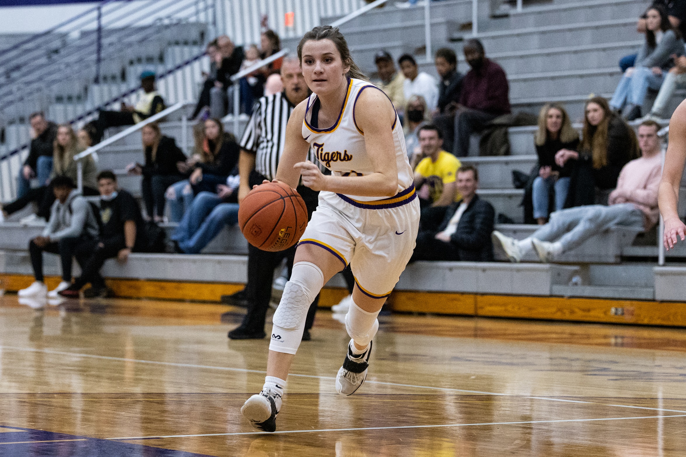 NO. 20 TIGERS TAKE CCAC HOME OPENER 133-91 OVER CARDINAL STRITCH