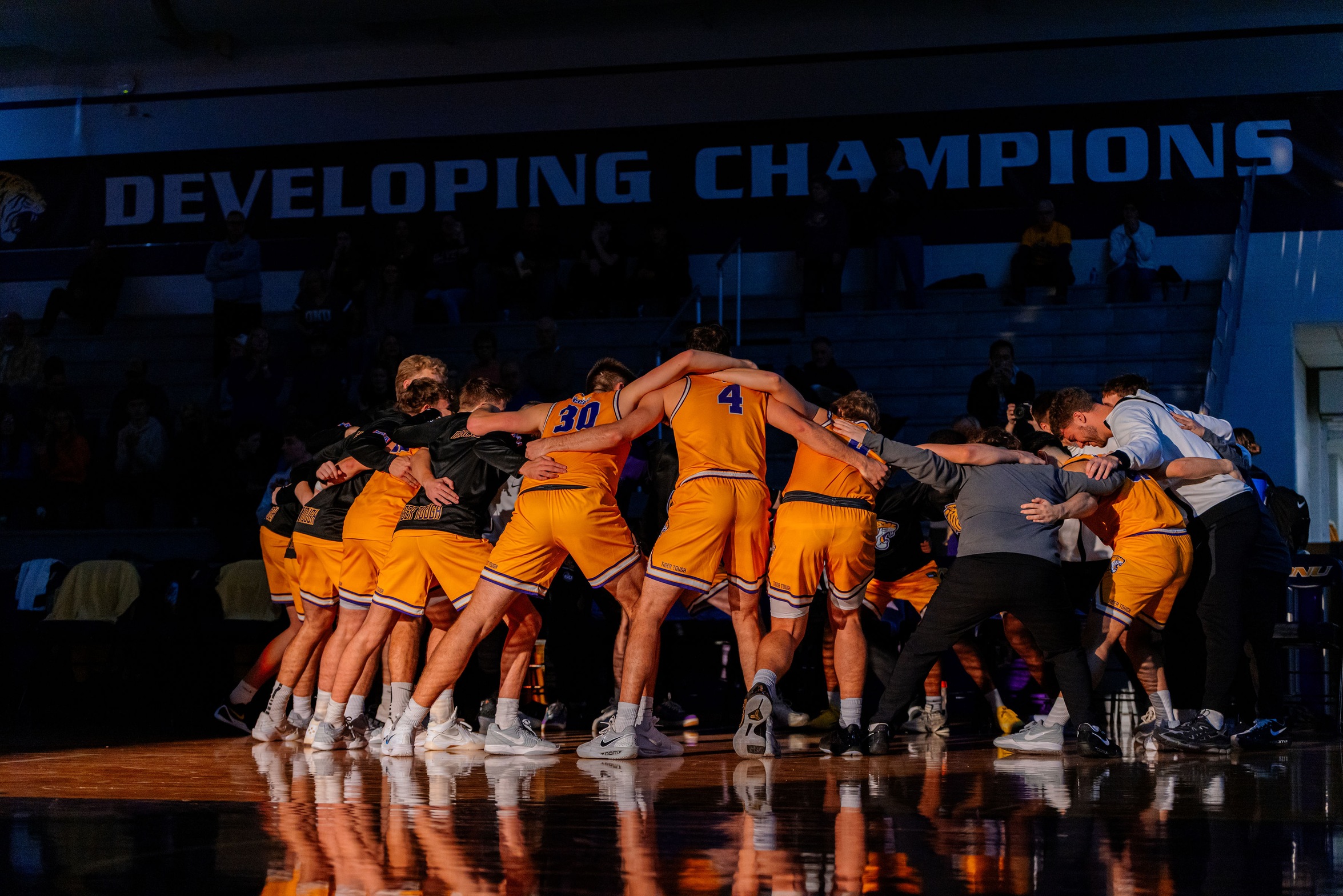 TIGERS EXTEND CONFERENCE STREAK AGAINST FIGHTING BEES