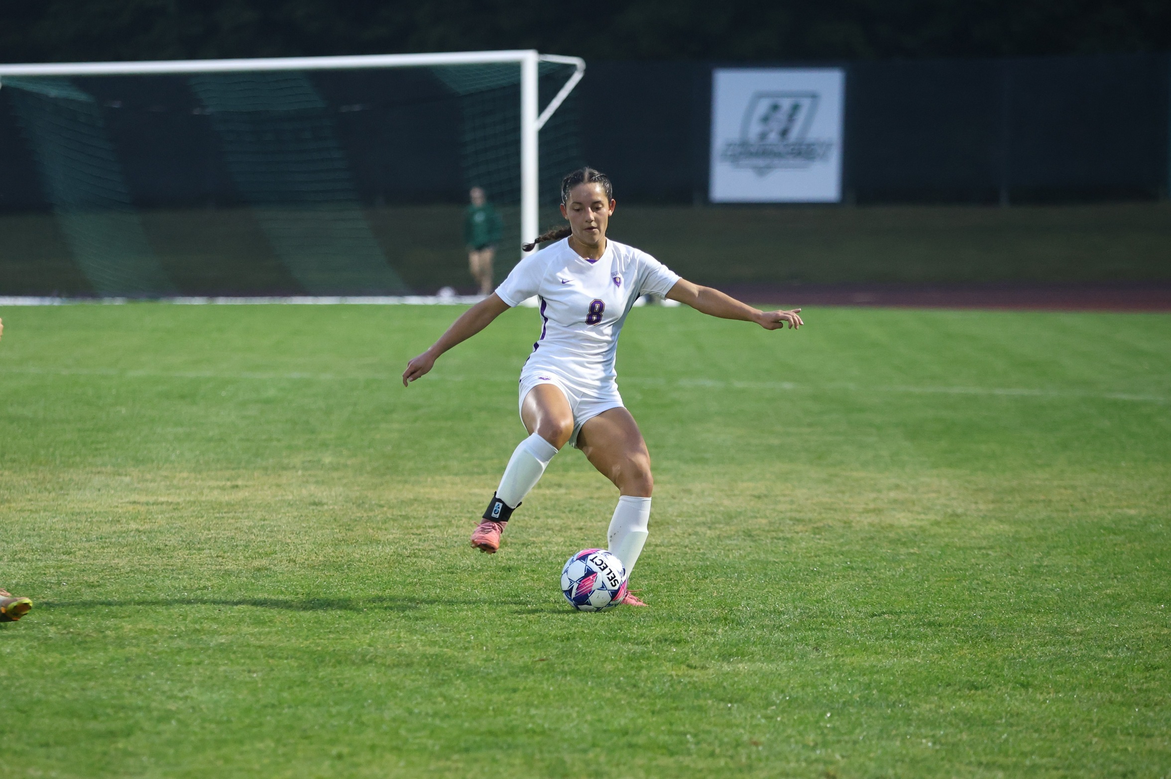 TIGERS SETTLE FOR DRAW WITH FIGHTING BEES IN CCAC OPENER