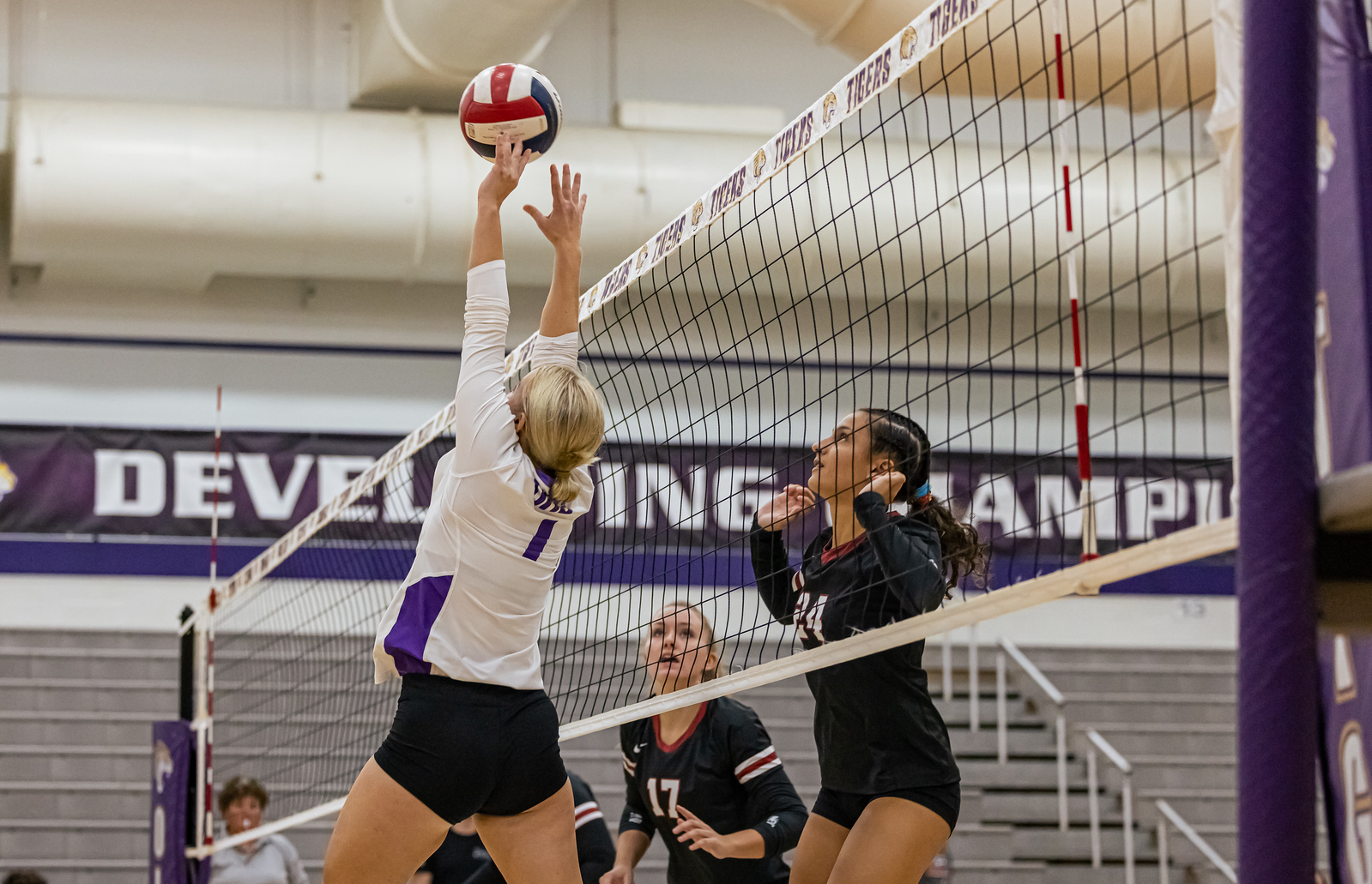 TIGERS ROLL OVER CRIMSON WAVE FOR SECOND CONSECUTIVE SWEEP