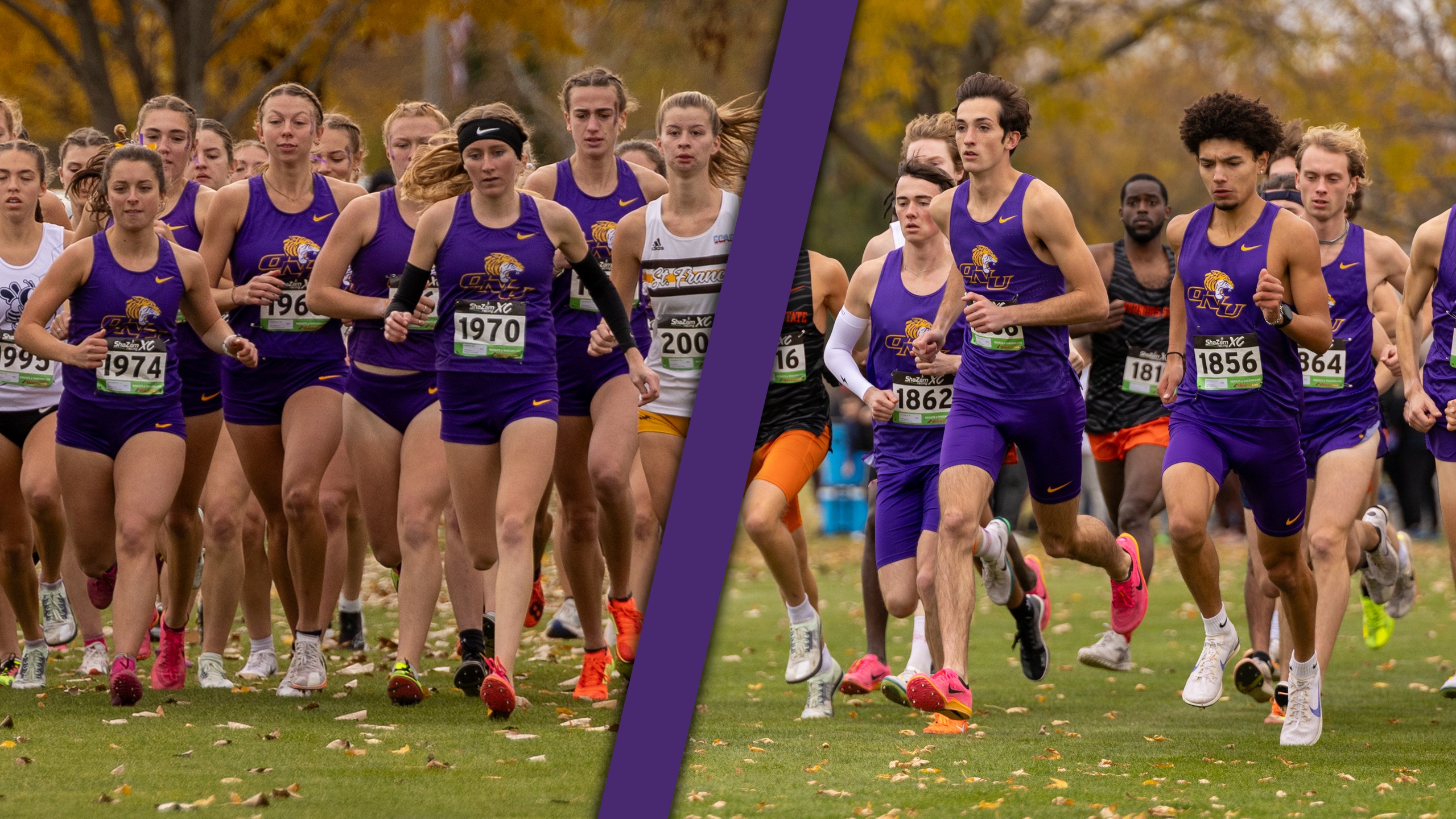 TIGERS SET FOR NAIA CROSS COUNTRY CHAMPIONSHIPS IN TALLAHASSEE